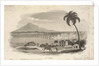 St Kitts by Nicholas Pocock