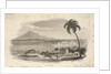St Kitts by Nicholas Pocock