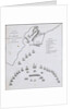 Plan of the blockade of Cadiz, June 1797 by unknown