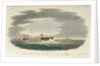 The 'San Ildefonso' captured by HMS 'Defence' by John Theophilus Lee