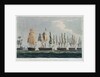 Action off Lissa, 13 March 1811 by William Waldegrave