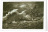 'Phoenix' in rough seas by unknown