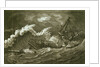 'Phoenix' in rough seas by unknown