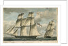 Gloucester' by F. P. Wedsted