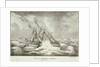 HMS 'Cambridge' and squadron, 2-3 December 1840 by Brocktorff