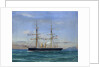 Temeraire' by A. de Simone