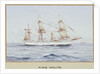 HMS 'Melita' by G. D'Esposito