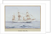 HMS 'Melita' by G. D'Esposito