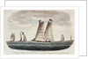 A Virginia pilot-boat with a distant view of Cape Henry at the entrance of the Chesapeake by G. T.