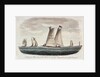 A Virginia pilot-boat with a distant view of Cape Henry at the entrance of the Chesapeake by G. T.