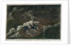 The 'Melancholy' shipwreck & death of Lord Royston by unknown