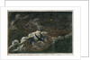 The 'Melancholy' shipwreck & death of Lord Royston by unknown