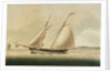 American pilot boat by unknown