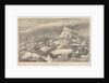 The 'Fox' (1855) steaming out of the rolling pack by Walter William May
