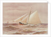 'Vanduara' under way by Henry Shields