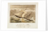 The H.E.I. Cos: Steamer Pluto John Tudor, Lieutenant Commander, R.N on her Voyage to China, 1842 by unknown