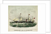 Captain C.H.E. Judkins (of the steam-ship 'Hibernia') by unknown