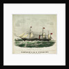 Captain C.H.E. Judkins (of the steam-ship 'Hibernia') by unknown