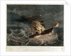 Destruction of the mail steamer 'Amazon' by Read & Co