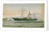 SS 'Damascus' by C. Kensington