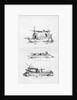A Dacca Pulwar of 500 maunds by W. Purser