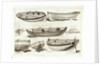 Jolly boat for oars or sail by Robert Pollard