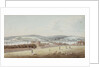 View of Chatham by George Bulteel Fisher