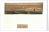 Cape Trafalgar by Percy W. Justyne