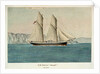 HM Schooner 'Beagle', 120 tons by Lieutenant Francis H. Boyer