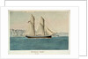 HM Schooner 'Beagle', 120 tons by Lieutenant Francis H. Boyer