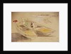 Studies of Venetian craft by Edward Lear
