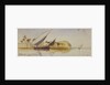 Geiada, Egypt by Edward Lear