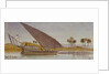 The banks of the Nile with a large gyassi passing by by Edward Lear