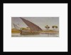 The banks of the Nile with a large gyassi passing by by Edward Lear