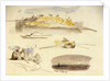 Five sketches of Luxor, Egypt by Edward Lear