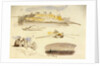 Five sketches of Luxor, Egypt by Edward Lear