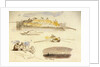 Five sketches of Luxor, Egypt by Edward Lear
