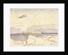 Shetaal, Egypt by Edward Lear