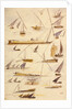 Studies of various Egyptian craft by Edward Lear