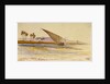 Near Gebel es Silsilas, Egypt by Edward Lear