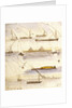 Studies of various Egyptian craft by Edward Lear
