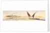 Opposite Abousnegarbv, Egypt by Edward Lear