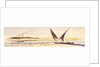 Opposite Abousnegarbv, Egypt by Edward Lear