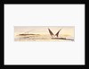 Opposite Abousnegarbv, Egypt by Edward Lear