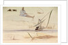 Studies on the Nile by Edward Lear
