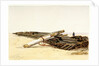 Wreck of the 'Ellen Southard' lying on Crosby Sands, 11 October 1875 by G.S. Walters