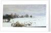 A landscape under snow with a flock of feeding birds in the foreground by William Lionel Wyllie