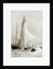 Meteor winning the Queens Cup by William Lionel Wyllie