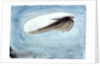 A barrage balloon S W 30 by William Lionel Wyllie
