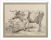Study of a cow, after Paul Potter by Edward William Cooke